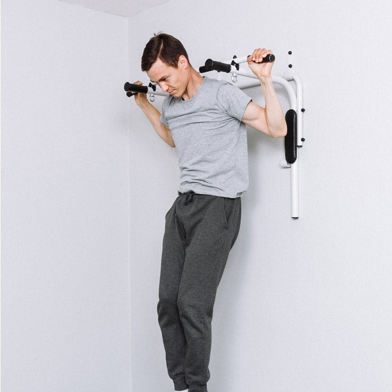 Wall Mounted Chin Up Bar & Dip Station